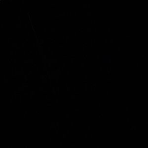 Meet your Posher, Xavier